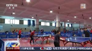 2026年世界杯官网 室内健身器多功能器材